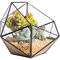 Moderno terrario poliédrico triangular de cristal- de fabricación artesanal- para plantas suculentas- bonsáis o cactus